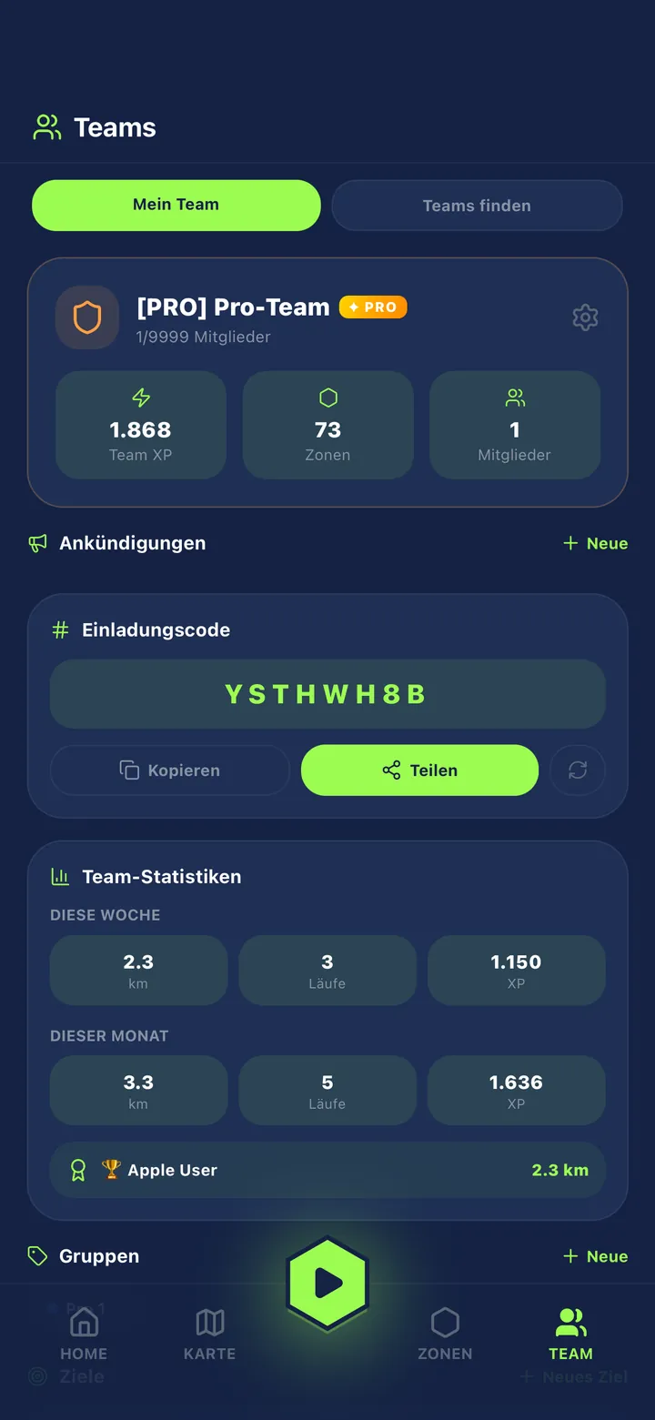 Run4Zones Team-Ansicht mit Statistiken und Einladungscode